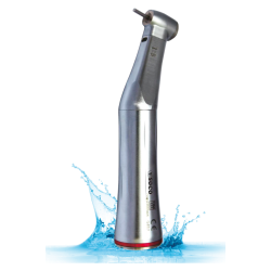 Dentiste|LRDistribution